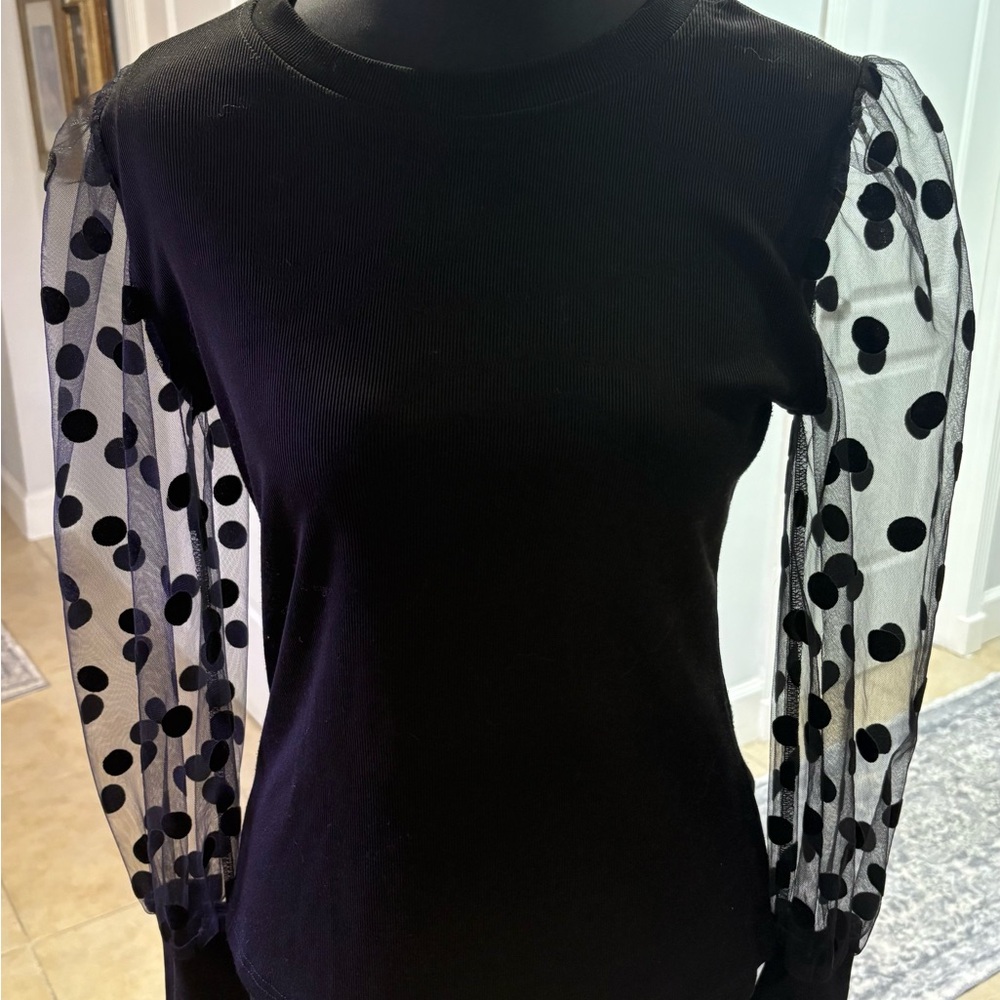 Black Top with Sheer Polka Dot Sleeves